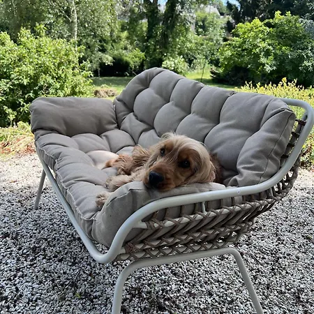 L'aposee, In Normandy Dog Friendly 펜션 Curcy-sur-Orne